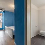 Boccordi Villa Bokordići