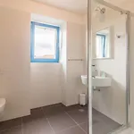 Boccordi