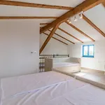 Boccordi فيلة *